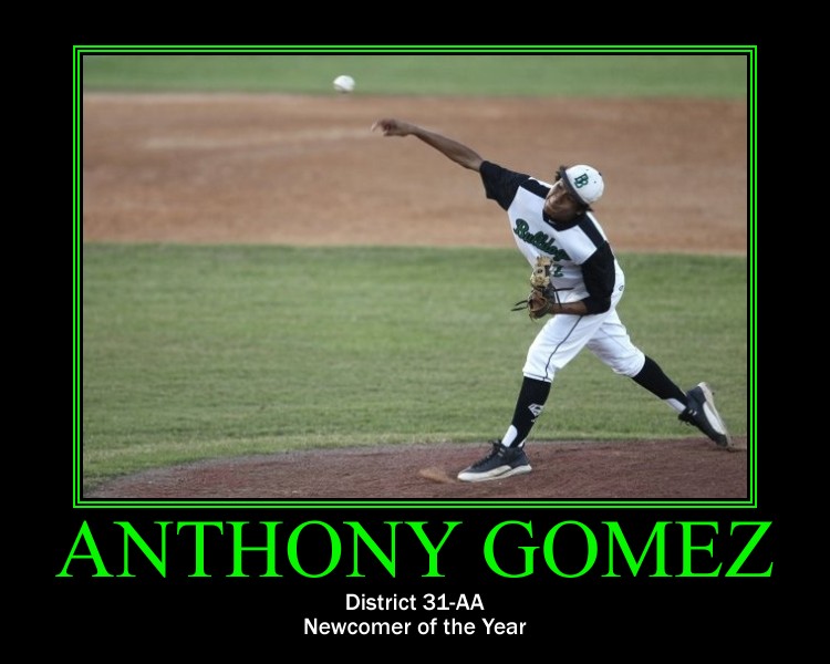 A baseball player pitching the ball